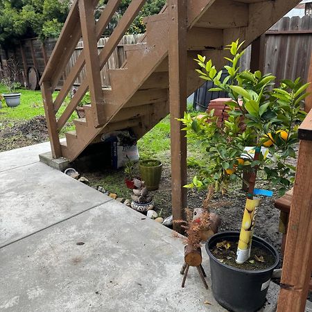 Apartamento Bumblebee House Oakland Exterior foto